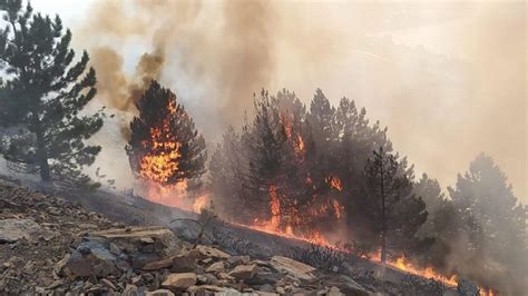 E­l­a­z­ı­ğ­­d­a­ ­o­r­m­a­n­ ­y­a­n­g­ı­n­ı­ ­-­ ­S­o­n­ ­D­a­k­i­k­a­ ­H­a­b­e­r­l­e­r­
